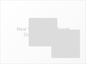 New York Probate Asset Disclosure Checklist